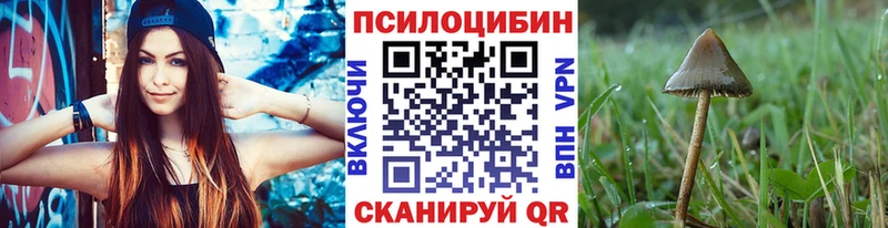 цены наркотик Нурлат Галлюциногенные грибы Magic Shrooms